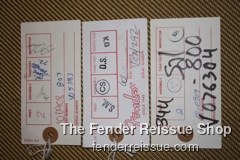 Fender Stratocaster - Reissue Strat Case Candy