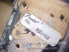 Fender Stratocaster- Reissue Strat Bodies — V001460 sticker